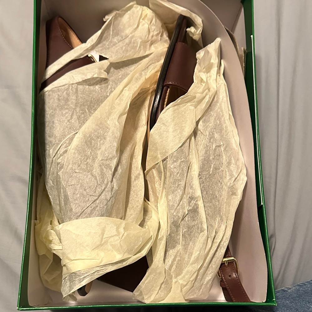J. Crew Green Shoe Box for Dylan Sandals - Picture 4 of 10